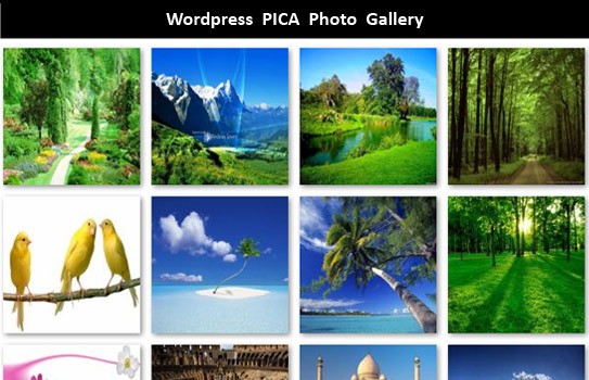 Wordpress Premium Slideshow & Gallery Plugins