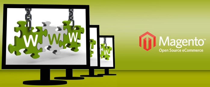 Tips to Set Up Multi Websites on Magento